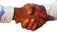 Web Links